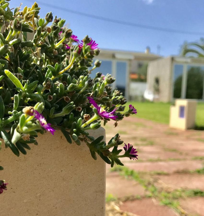 برنالدا B&B Villa Degli Angeli المظهر الخارجي الصورة