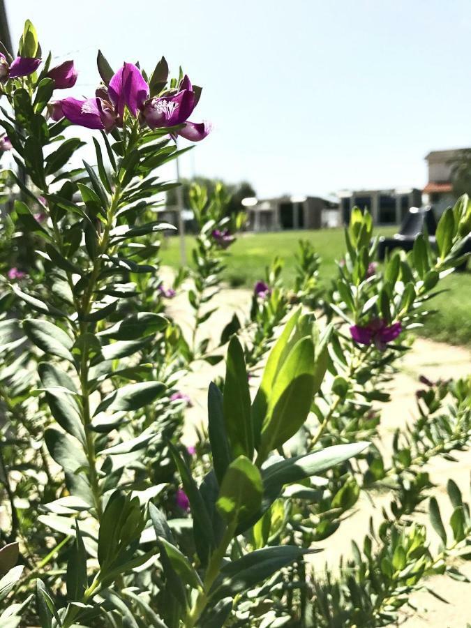 برنالدا B&B Villa Degli Angeli المظهر الخارجي الصورة